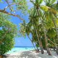 De Malediven, een perfecte bestemming voor een huwelijksreis