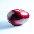 Wat betekent 'de appel valt niet ver van de boom' precies?